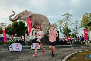 BIB: 
                            <button type="button" onclick="openModal(26529193)" class="btn btn-primary btn-sm float-right btn-popup" data-toggle="modal" data-target=".modal-high-quality">
                        <i class="fas fa-shopping-cart"></i> Add to Cart
                    </button>
                                            <button type="button" onclick="isThisMe(26529193, true)" class="btn btn-success btn-sm float-right btn-popup btn-isme hidden" data-toggle="tooltip" data-placement="bottom" title="นี่คือรูปของคุณใช่ไหม คลิกที่นี่เพื่อเอาเข้าอัลบั้ม">
                        <i class="fas fa-plus"></i> Add to album
                    </button>
                    <button type="button" onclick="isThisMe(26529193, false)" class="btn btn-warning btn-sm float-right btn-popup btn-isnotme hidden">
                        <i class="fas fa-ban"></i> Remove from album
                    </button>